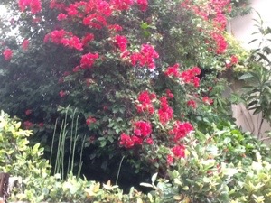 20170207-220752.jpg